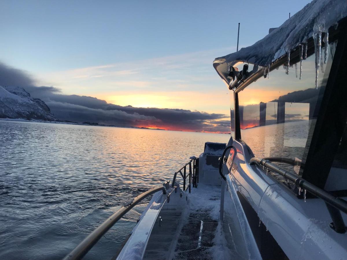 Kleppstad Cabin Sydalen المظهر الخارجي الصورة